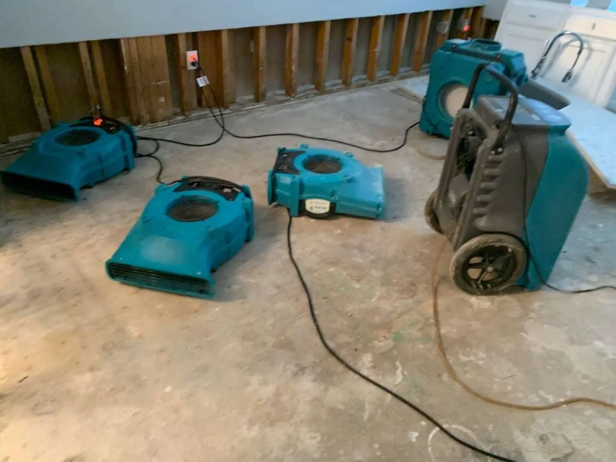Water Damage Restoration services in Shelburne, VT